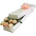 /album/florales/vbvvbbb-jpg/